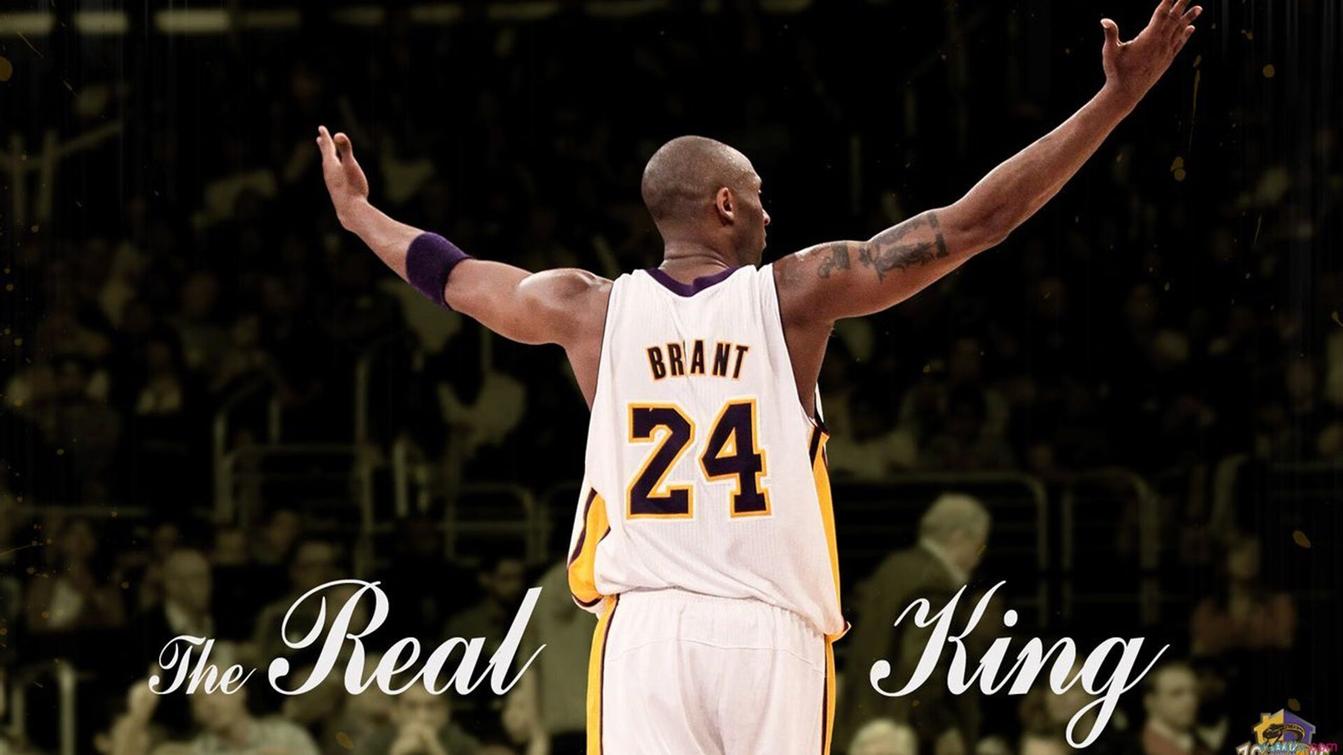 约基奇冠军级表现启示录，从丹佛到新疆，篮球哲学无疆界